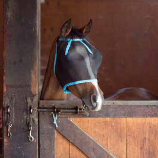 Fly Mask