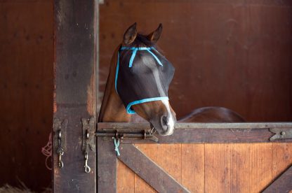 Fly Mask