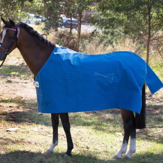 Pony Budget Lined Rug