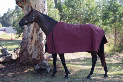 Burgundy Bogong Rug