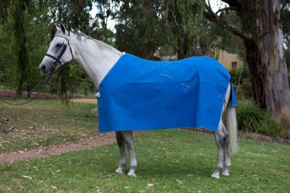 Unlined Light Blue Tearstop Rug